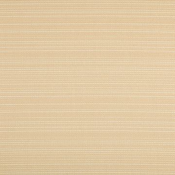 Agora Exodo Fantasy Rayure Collection - Fantasy - Crema