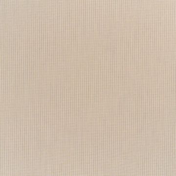 Stirling - Acrylic - Fantasy