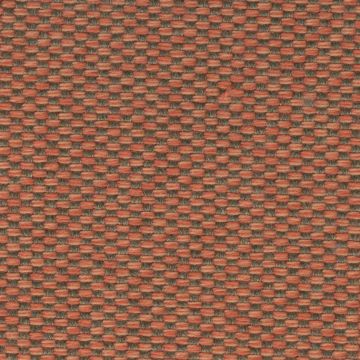 Agora Natural Shades Collection - Bruma - Teja