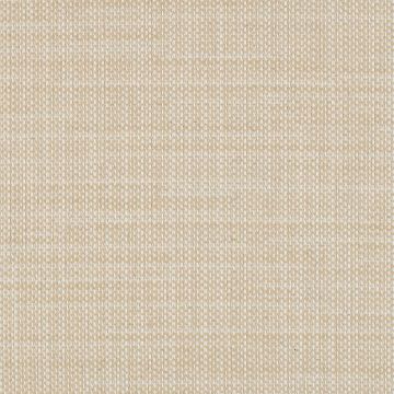 Wabi-Agora-Oat