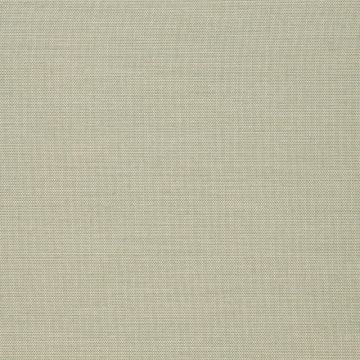 Apio-Lisos-Acrylic