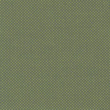 Agora Panama Collection - Panama - Green