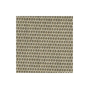 Agora Panama Collection - Panama - Integral