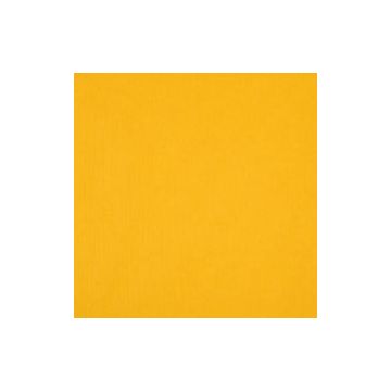 Agora Lisos / Plains Collection - Amarillo