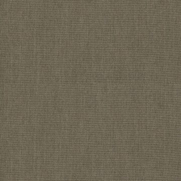 Agora Lisos / Plains Collection - Coco