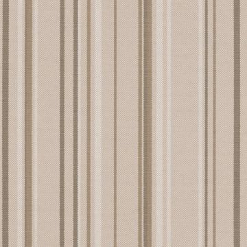 Integral-Thunder-Agora