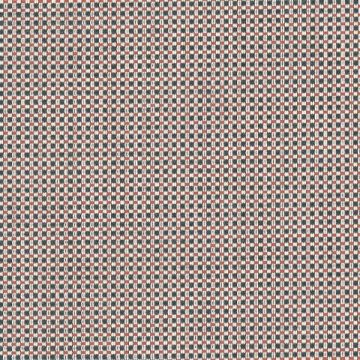 Batyline-Elios WP-Ladybird
