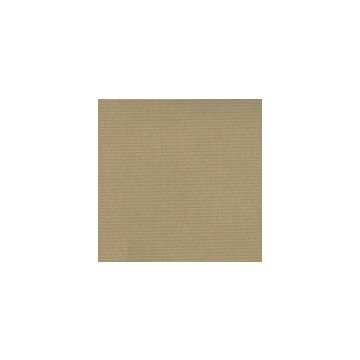 Acrisol-Acrylic-Caribe-Beige