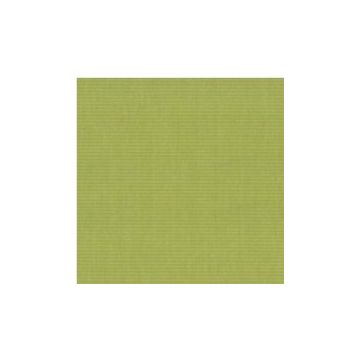 Acrisol-Acrylic-Caribe-Pistachio