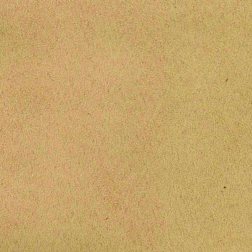Eco Suede Firex - Beige 