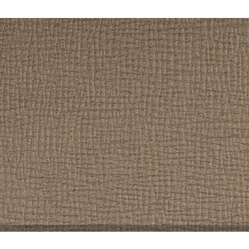 Spradling Saffiano Palladium 137cm