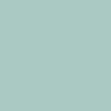 Precontraint Boulder  (502)