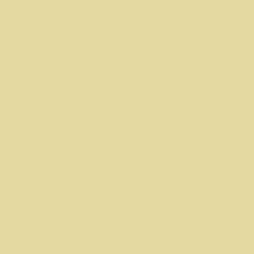 PVC - Class FR - Champagne