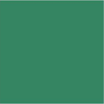 VIP PVC - Mint