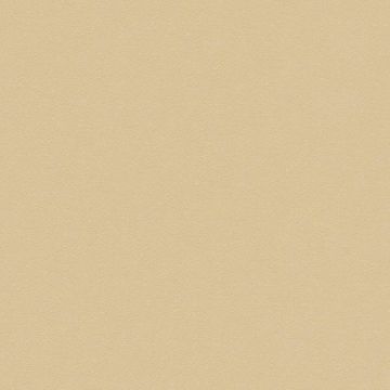 Stamoid Top - Sand 150cm
