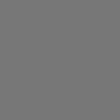 Charcoal Stamoid Light 