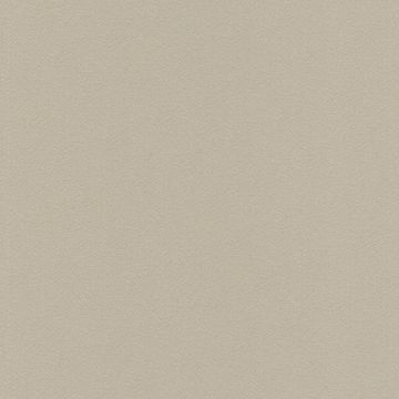 Sand Stamoid Heavy 465gsm 2cm