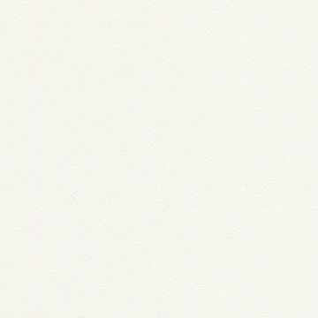 White (Off) Stamoid Light 
