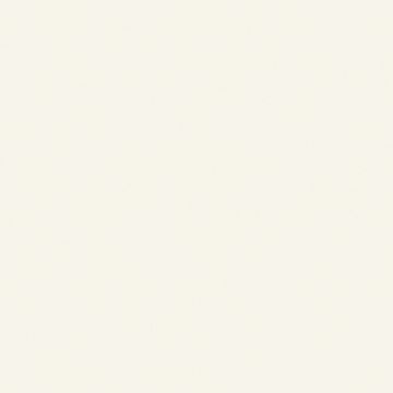 White (Off White) Stamoid Top (430gsm) -