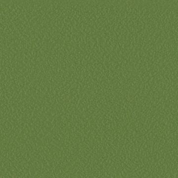Stamskin Top - Brown Green