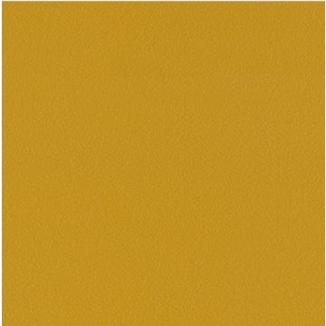Stamskin Top - Golden