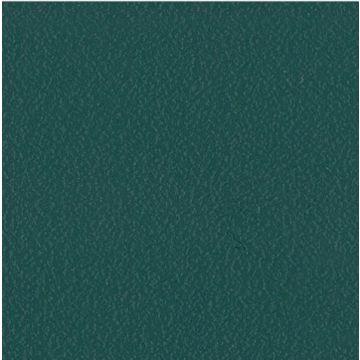 Stamskin Top - Cedra