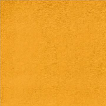 Stamskin Zen - Corn