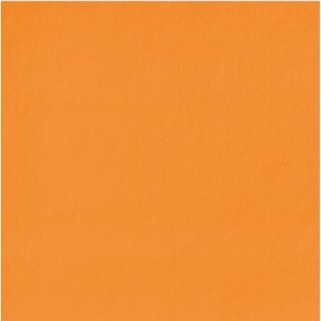 Stamskin Zen - Orange
