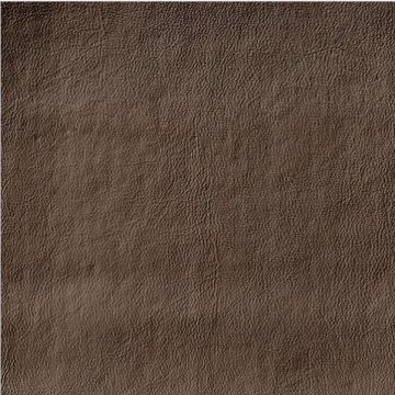 Stamskin Zen - Coffee