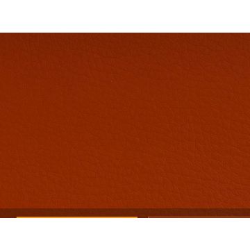 Spradling Dolce Tangelo 137cm