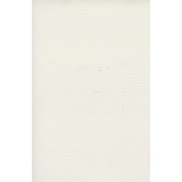 Top FR - Solution Dyed Polyester - Natural