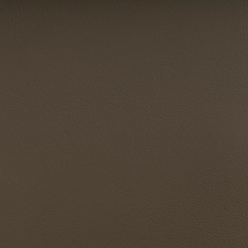 Spradling - Nautilus - Bramble